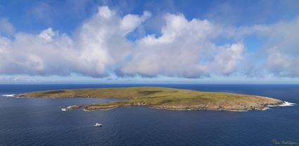 North Neptune Islands - SA T (PBH3 00 25742